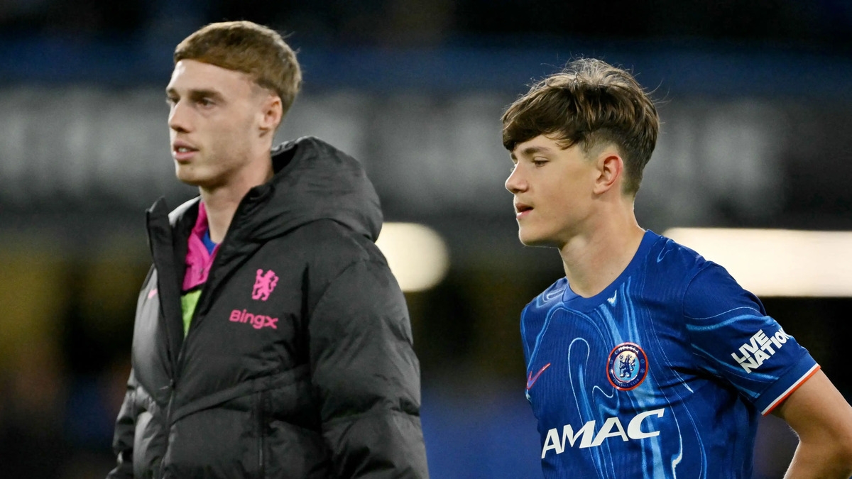 Энцо Мареска публично назвал своего любимого игрока из академии «Челси» Энцо Мареска публично назвал своего любимого игрока из академии «Челси»