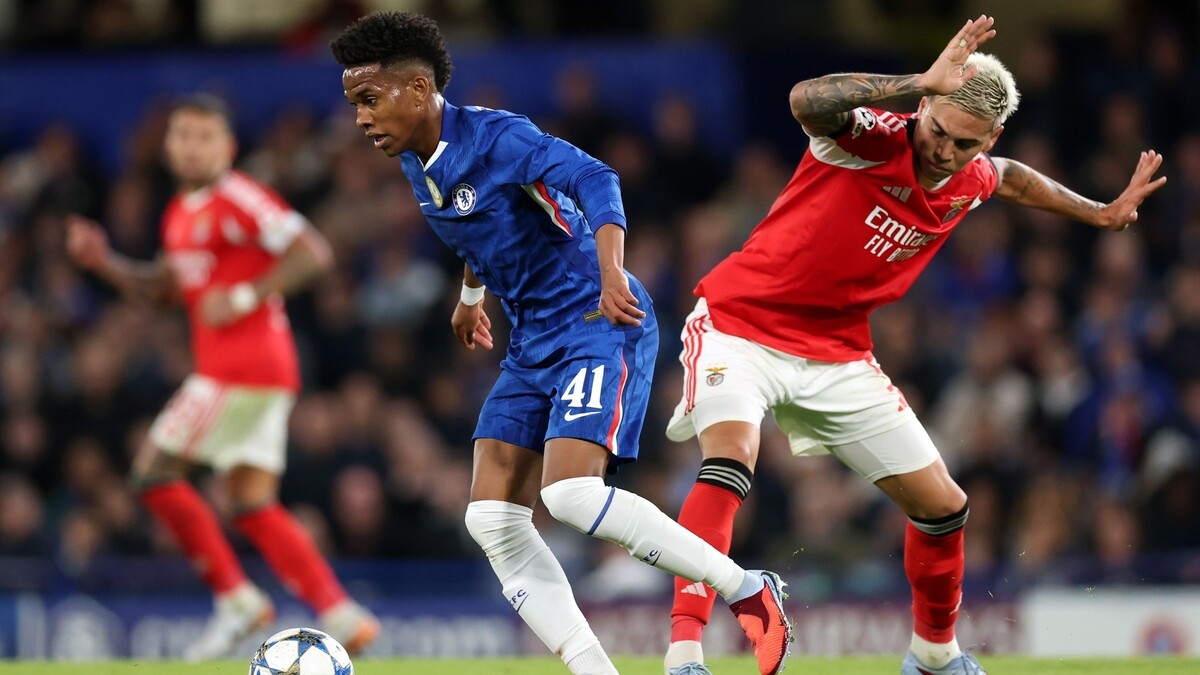 Энцо Мареска сравнил развитие Эстевао с талисманом «Челси» Коулом Палмером Энцо Мареска сравнил развитие Эстевао с талисманом «Челси» Коулом Палмером